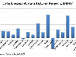 cesta_fev2015.jpg